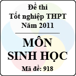 Đề thi tốt nghiệp THPT năm 2011 hệ phổ thông – môn Sinh học (Mã đề 918)