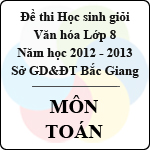 Đề thi học sinh giỏi Văn hóa lớp 8 tỉnh Bắc Giang năm học 2012 – 2013 môn Toán – Có đáp án