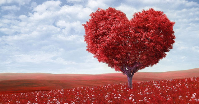 Bài văn mẫu lớp 12: Suy nghĩ về câu nói “Chỉ có trái tim yêu thương mới gieo mầm hạnh phúc”