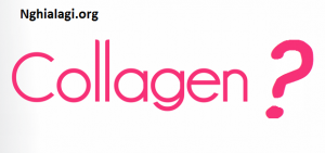 Collagen là gì? Collagen có tác dụng gì đối với cơ thể? - Nghialagi.org
