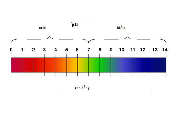 Chỉ số pH là gì? Có ý nghĩa ra sao?