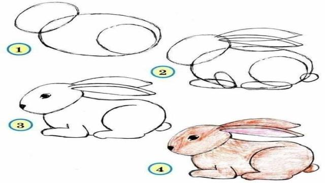 199 Danh sách 6 vẽ hình con thỏ hot nhất mới nhất 2023