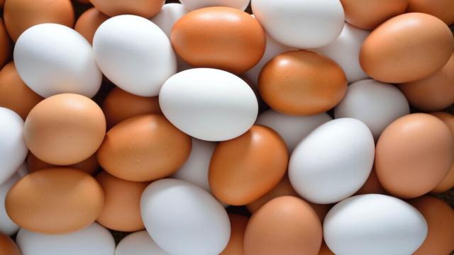 Xem Ngay 7 phân biệt lòng trắng trứng hot nhất hiện nay