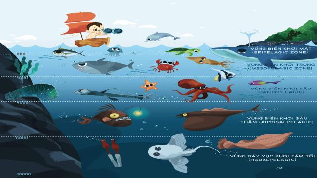 2. Sinh vật biển sống ở đâu?